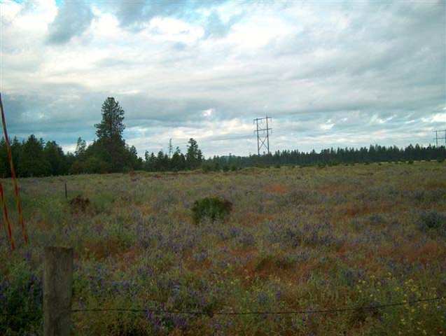 0 North Short Road Deer Park, WA 99006 - Photo 6 of 7