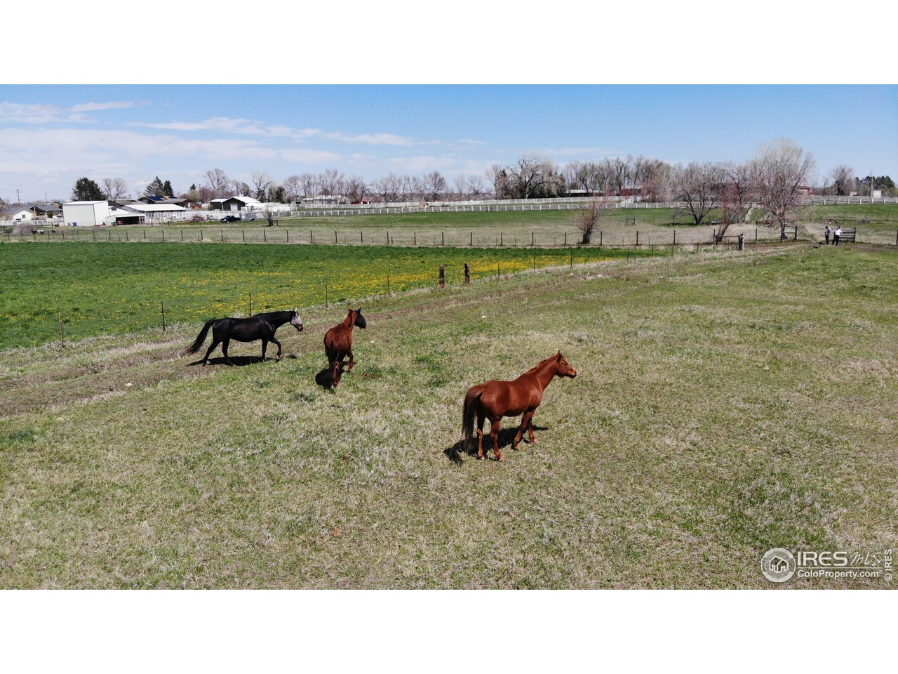 12110 Jasper Road Erie, CO 80516 - Photo 31 of 36