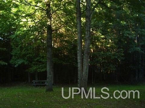 4515 26th Road Gladstone, MI 49837 - Photo 24 of 24