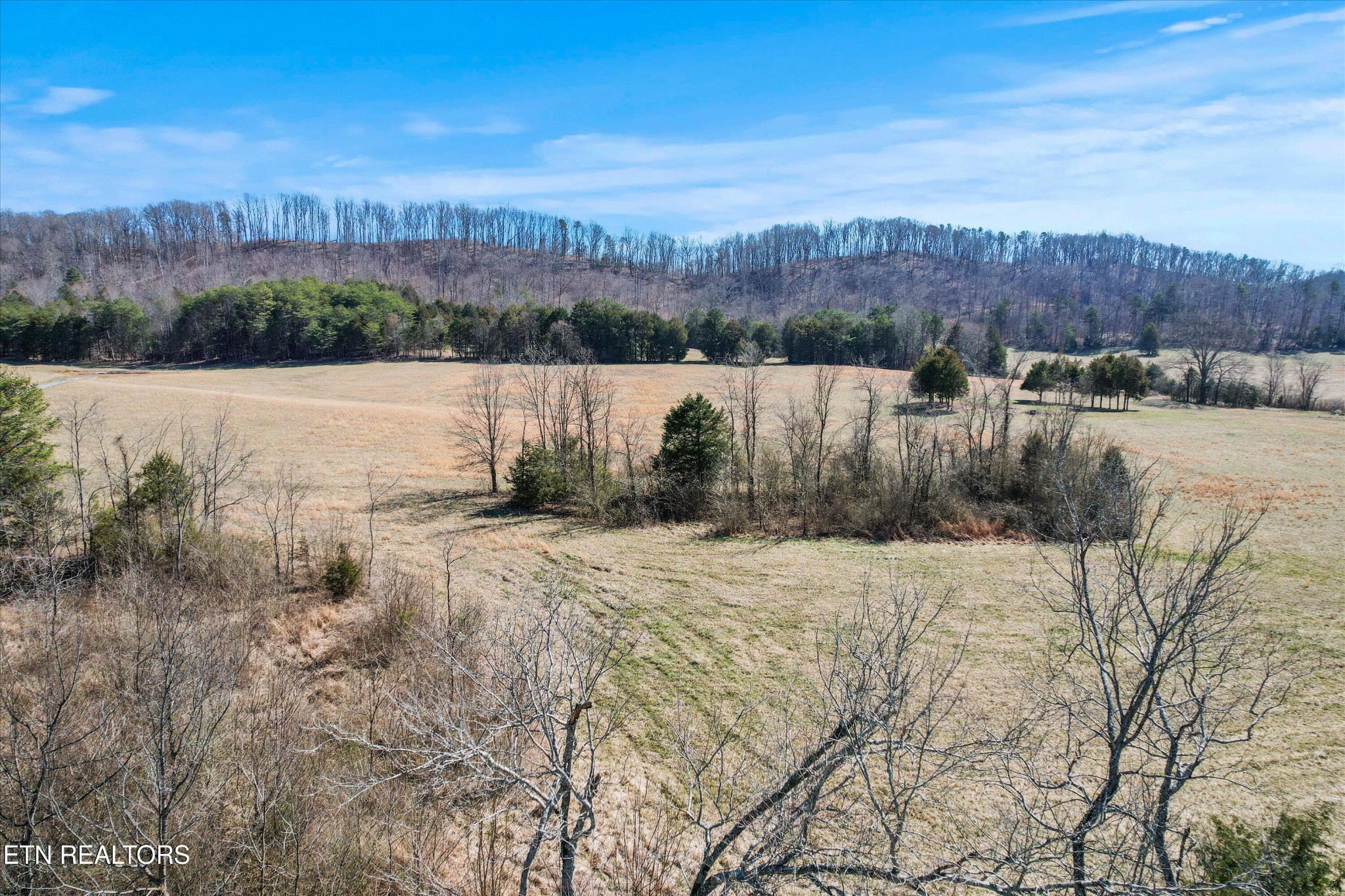 0 Paint Rock Valley Road Philadelphia, TN 37846 - Photo 9 of 40 a view of a lake with a mountain in the background