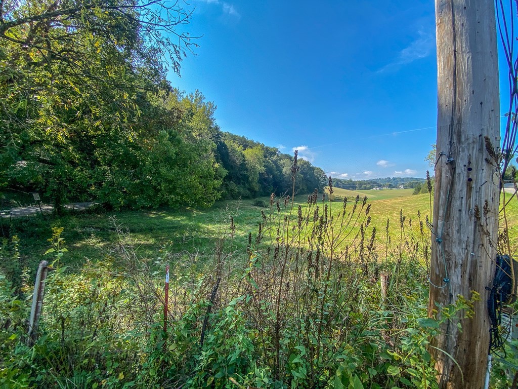 137 Old James Ferry Road Kingston, TN 37763 - Photo 53 of 60