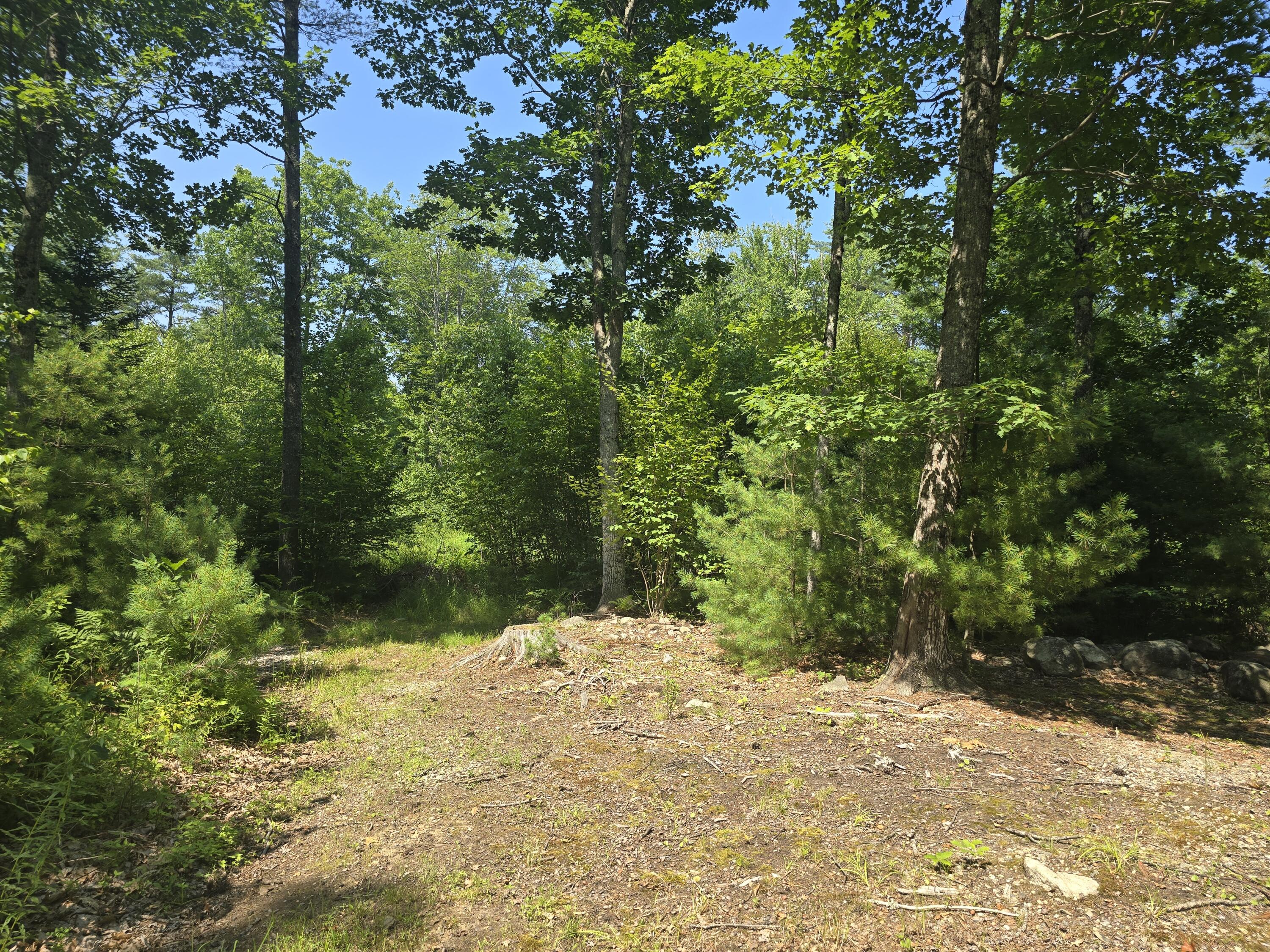 0 Head Tide Hill Road Alna, ME 04535 - Photo 8 of 12 20250716_143806