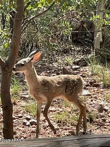 $1,124,995 | 6215 Sharyn Road, Pine, AZ 85544