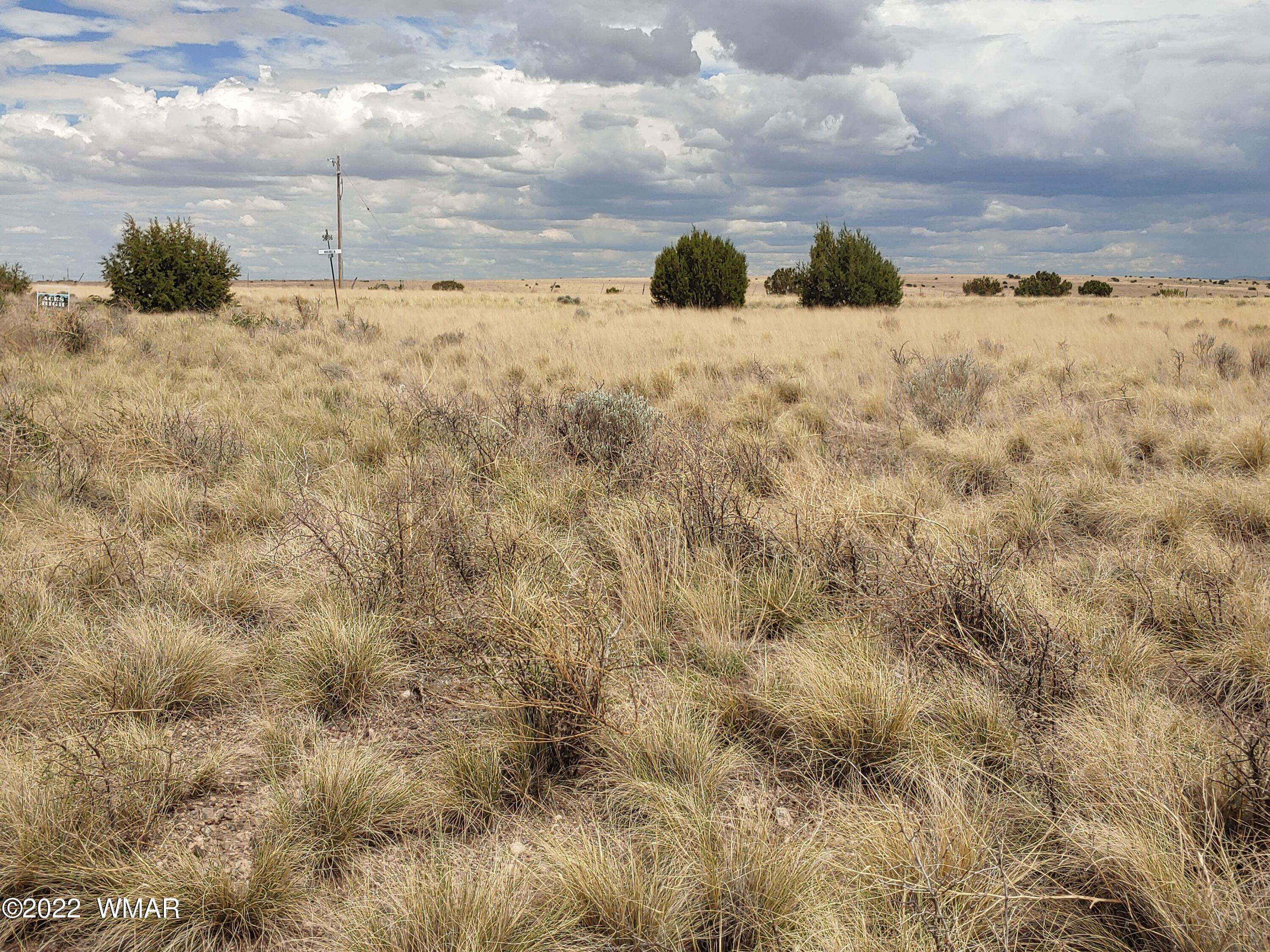 22 County Road, Unit 5A Concho, AZ 85924 - Photo 13 of 14