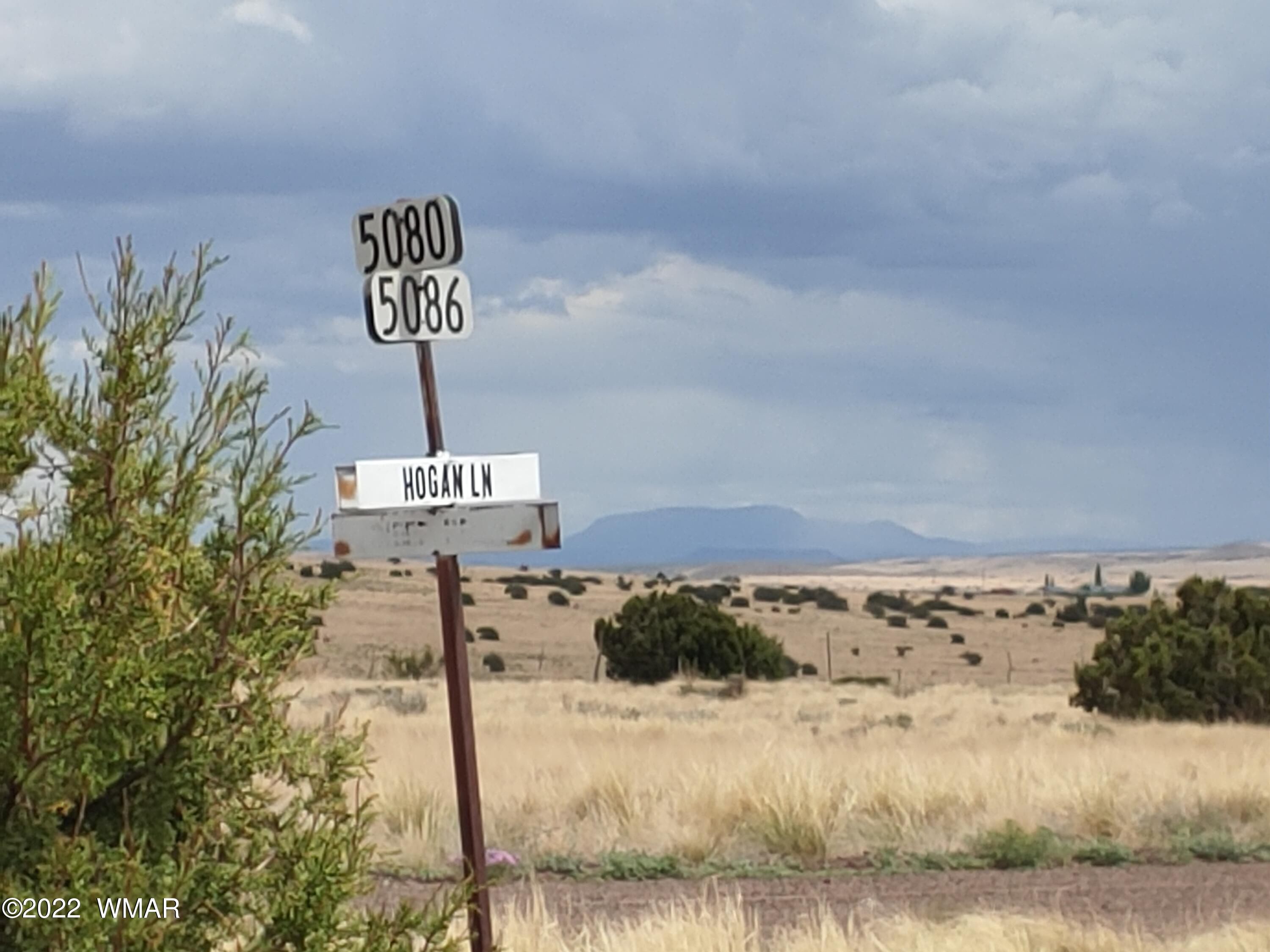 22 County Road, Unit 5A Concho, AZ 85924 - Photo 2 of 14
