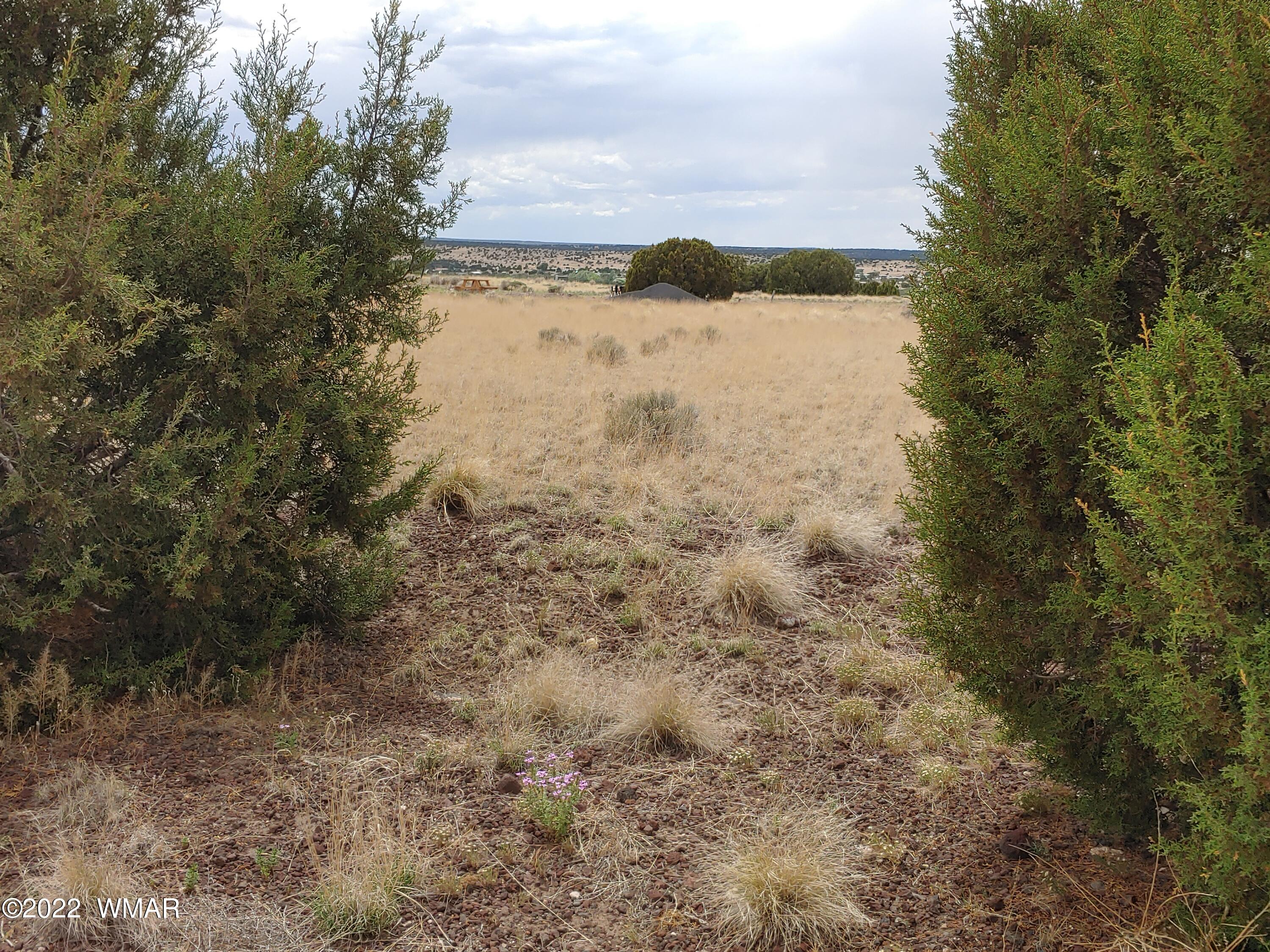 22 County Road, Unit 5A Concho, AZ 85924 - Photo 3 of 14