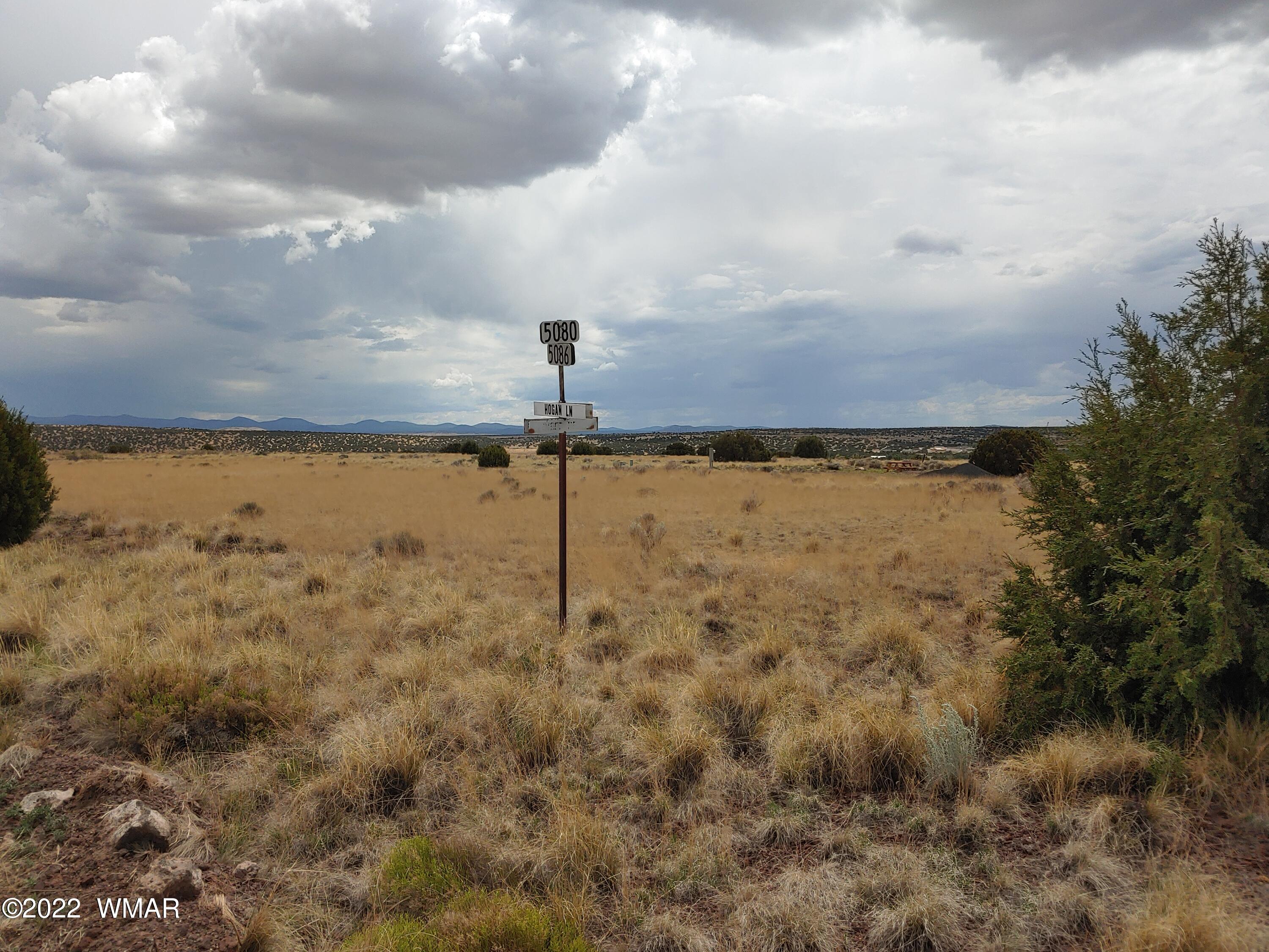 22 County Road, Unit 5A Concho, AZ 85924 - Photo 4 of 14