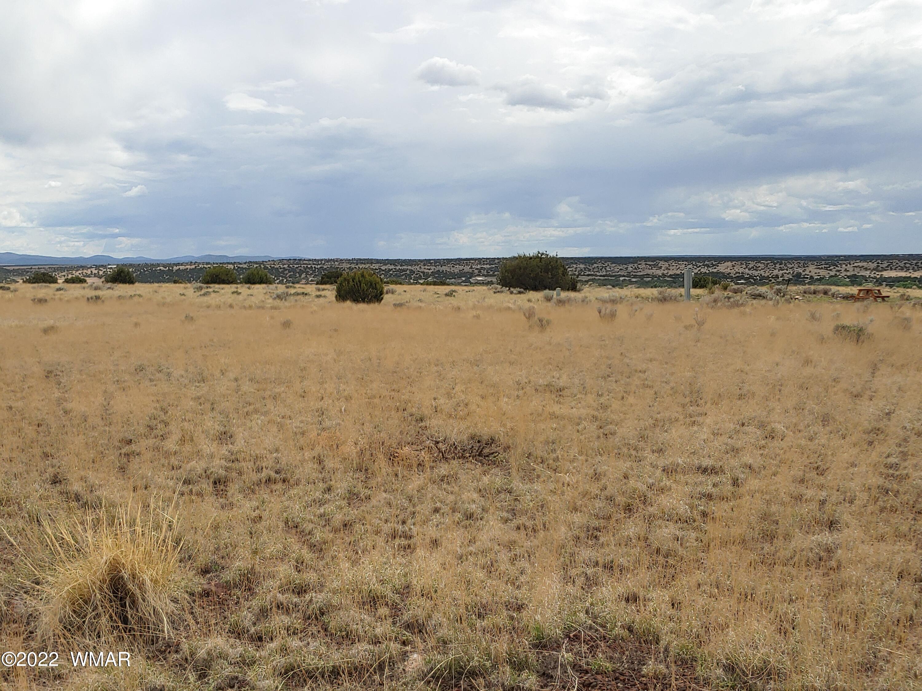 22 County Road, Unit 5A Concho, AZ 85924 - Photo 5 of 14