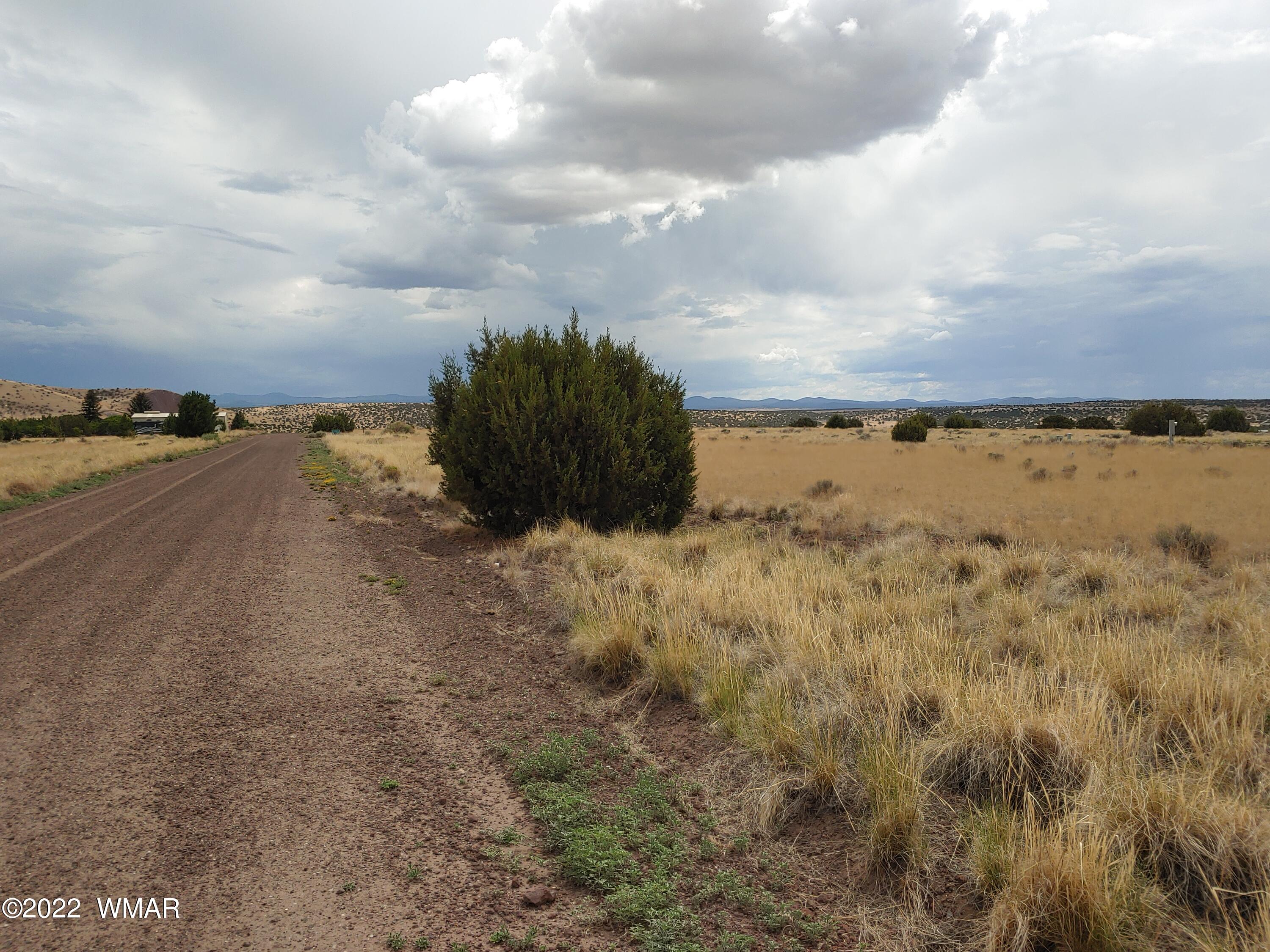 22 County Road, Unit 5A Concho, AZ 85924 - Photo 6 of 14
