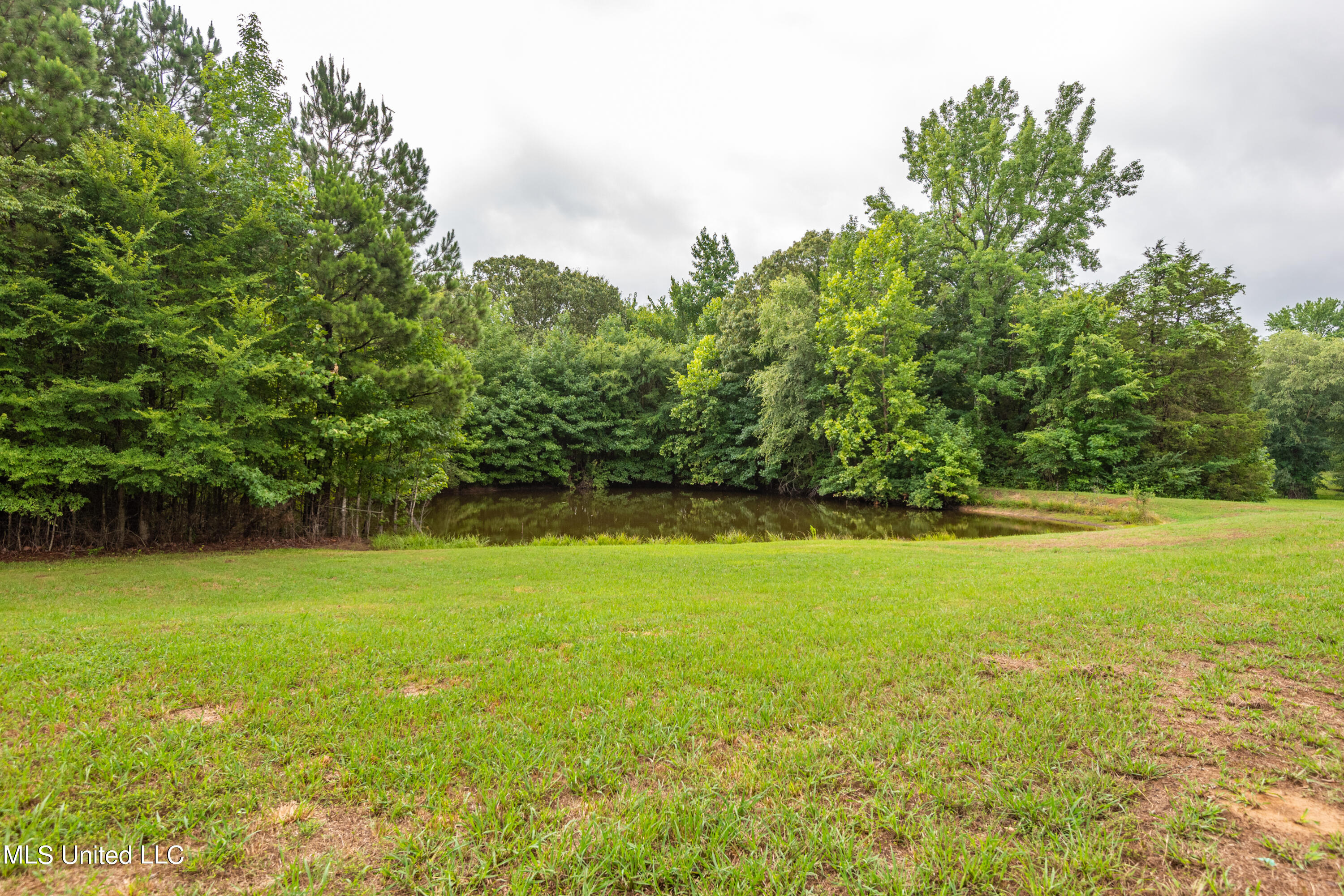 111 Humphrey Road Holly Springs, MS 38635 - Photo 23 of 33 DSC_3750