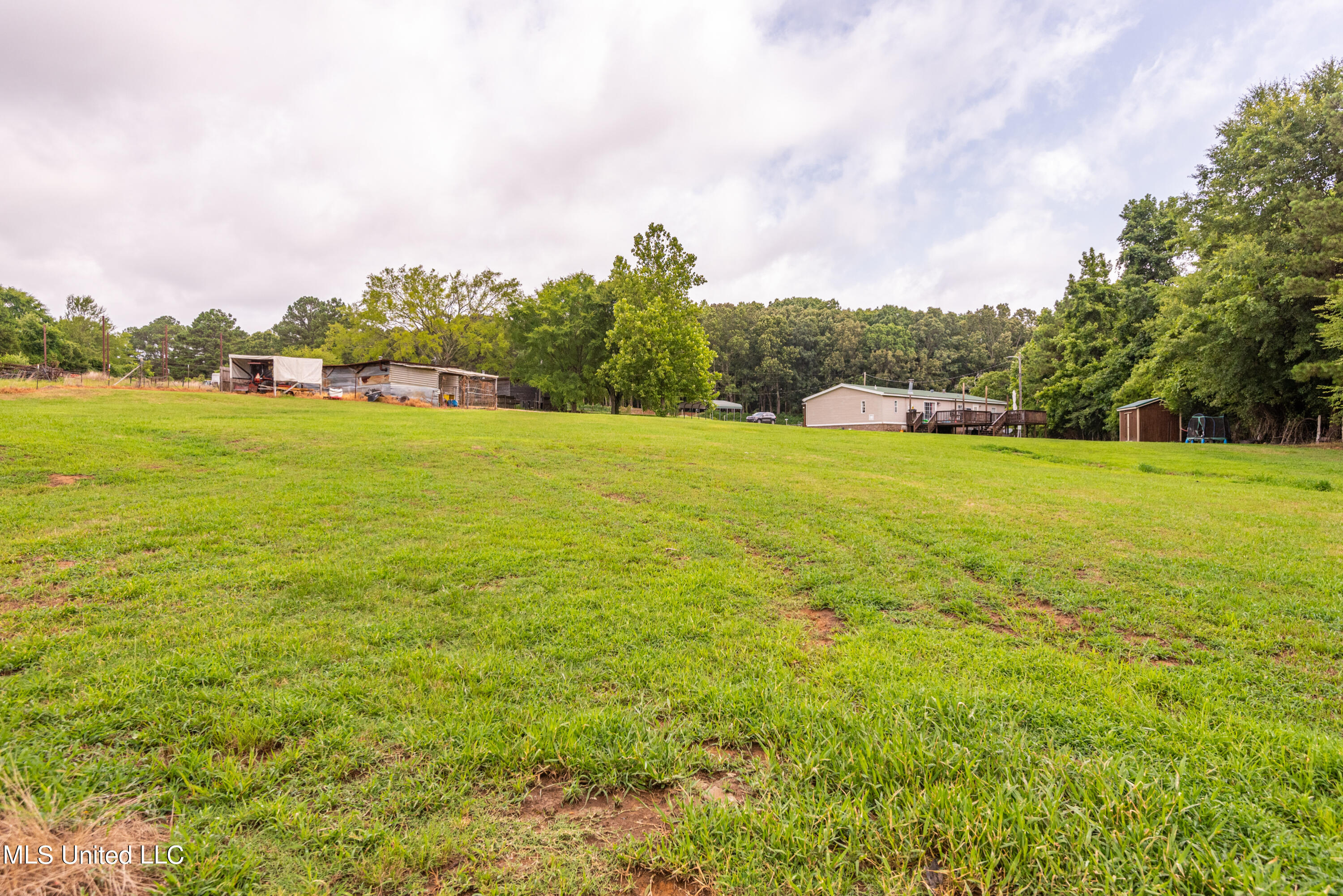 111 Humphrey Road Holly Springs, MS 38635 - Photo 24 of 33 DSC_3752