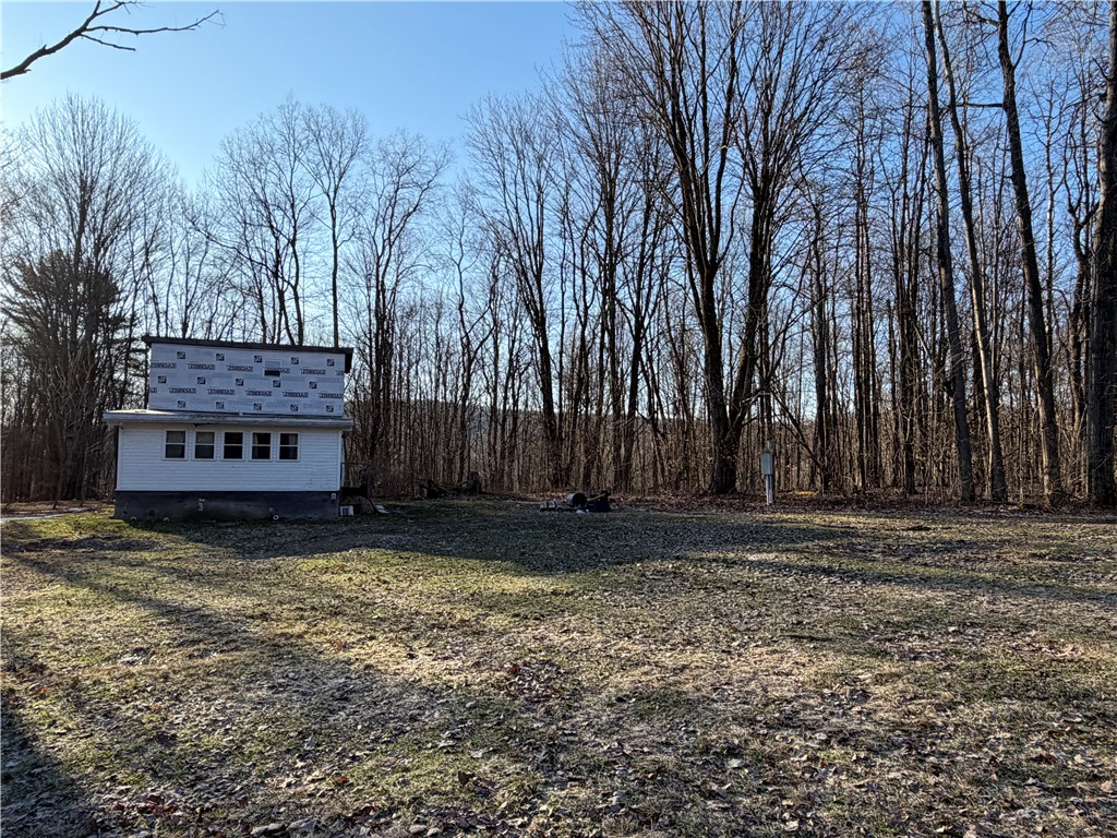 2680 Apple Tree Road Clarksville, NY 14715 - Photo 3 of 38