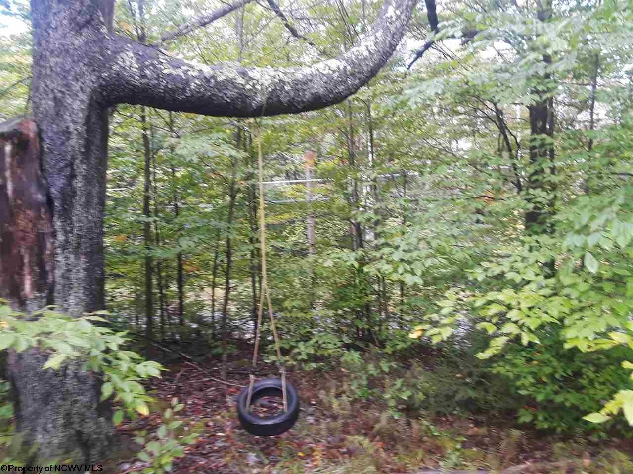 170 Cabin Mountain Road Davis, WV 26260 - Photo 17 of 20 Gallery Image 17
