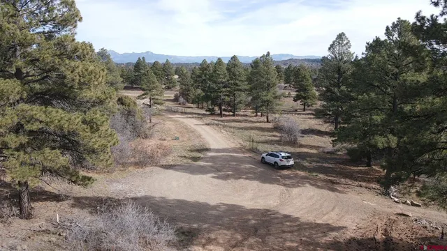 a view of a road with trees
