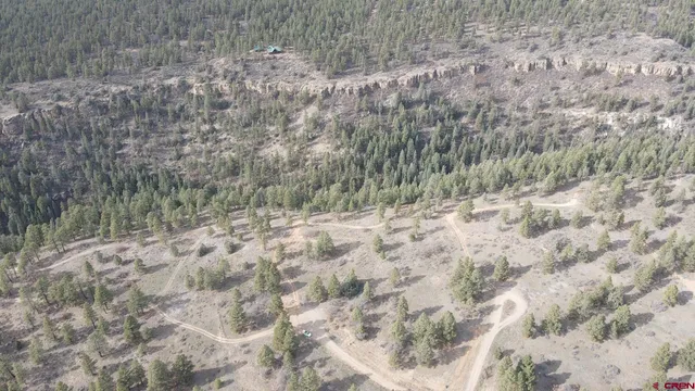 a view of a dry yard with trees