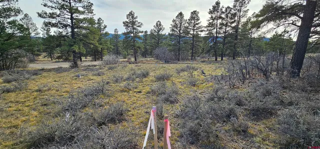 a view of outdoor space and green space
