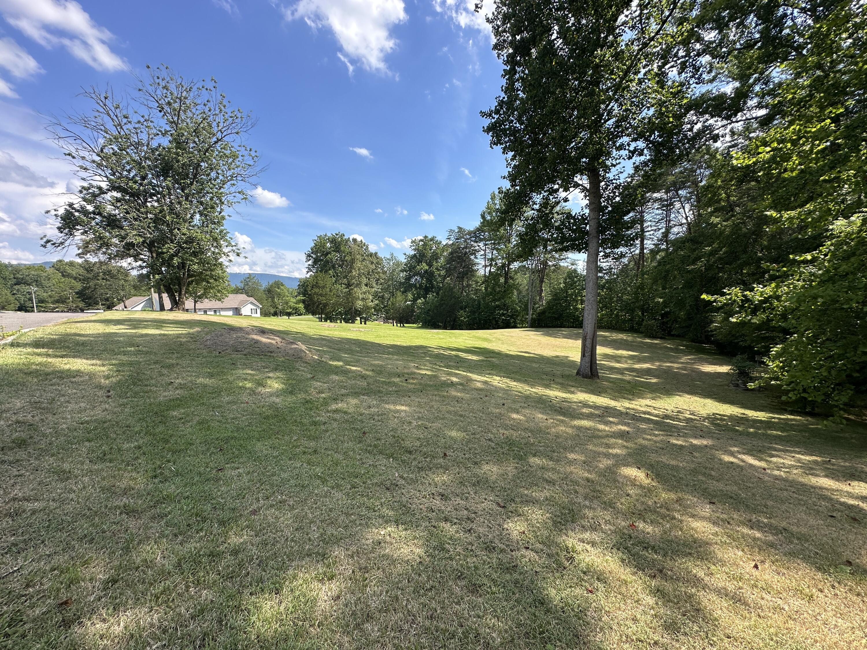 81 Lower Brow Road Dunlap, TN 37327 - Photo 1 of 22 IMG_4091