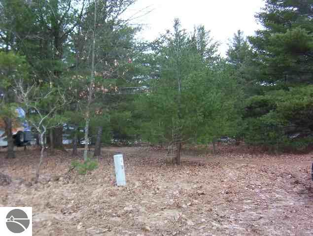 4880 Deerfield Road Kalkaska, MI 49646 - Photo 1 of 3 1675878.JPG
