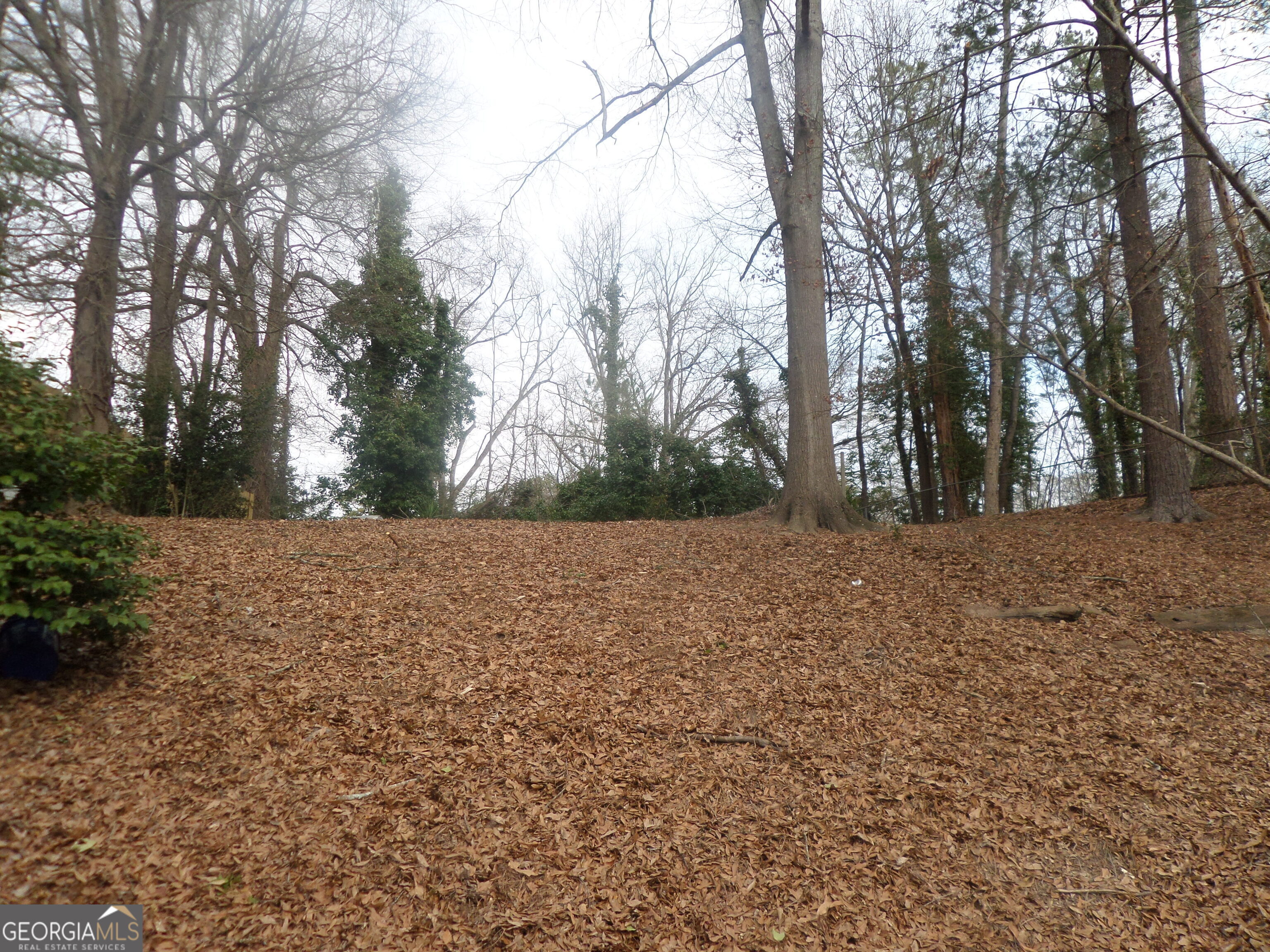 394 Christopher Drive Gainesville, GA 30501 - Photo 3 of 5 a view of road and trees