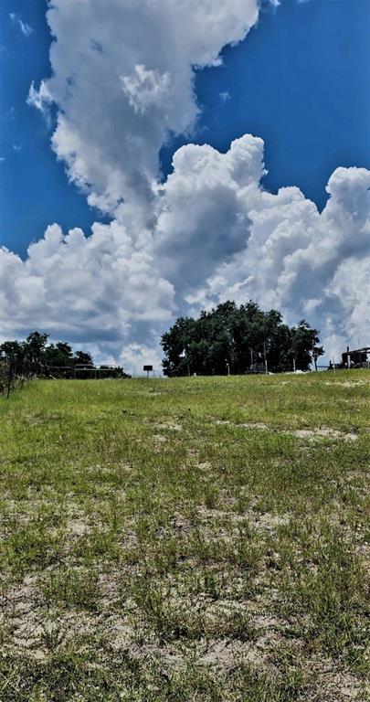 562 Libby Road Babson Park, FL 33827 - Photo 28 of 42
