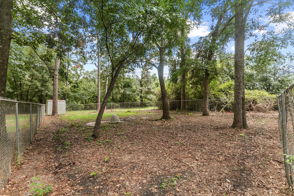 6850 North Co Road Columbia, AL 36319 - Photo 9 of 81
