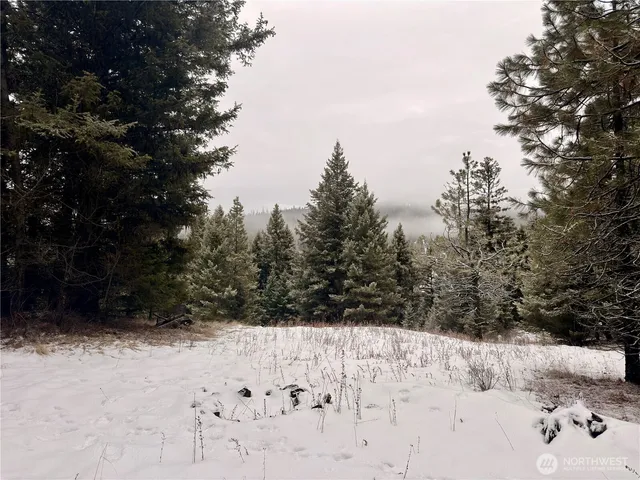 $39,000 | 25 Miner's Ridge Road, Oroville, WA 98844