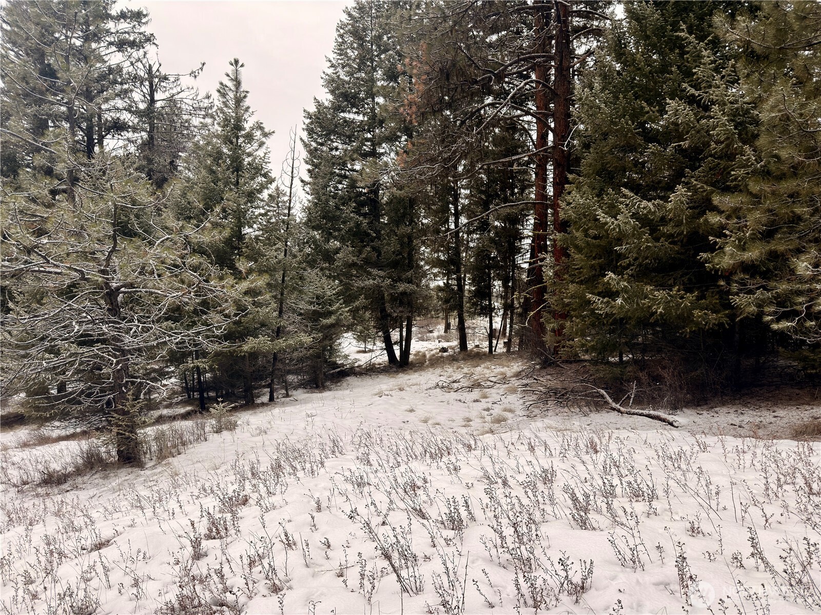 25 Miner's Ridge Road Oroville, WA 98844 - Photo 11 of 22