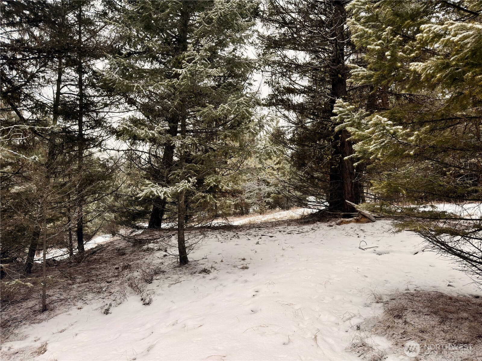 25 Miner's Ridge Road Oroville, WA 98844 - Photo 12 of 22