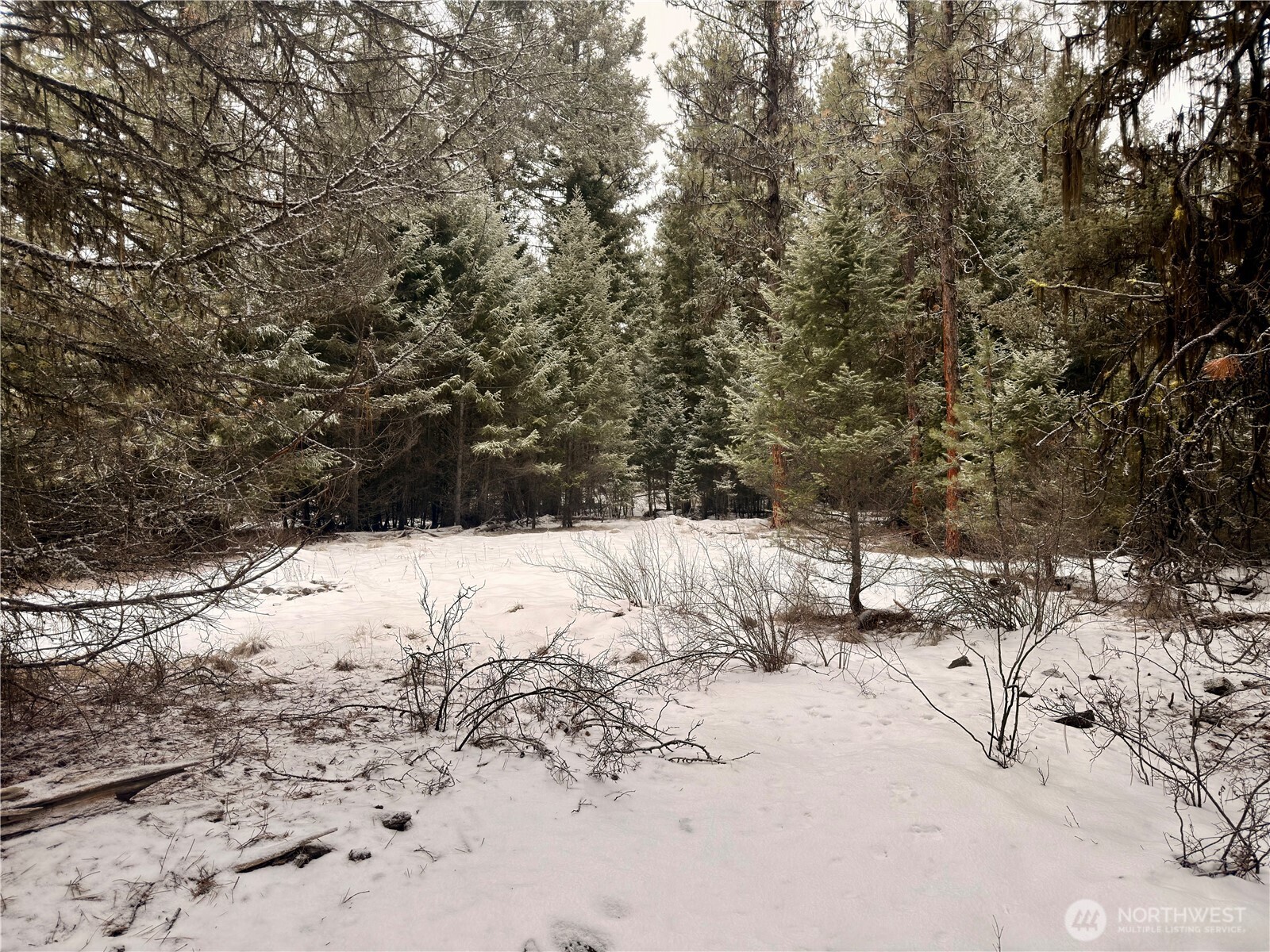 25 Miner's Ridge Road Oroville, WA 98844 - Photo 13 of 22