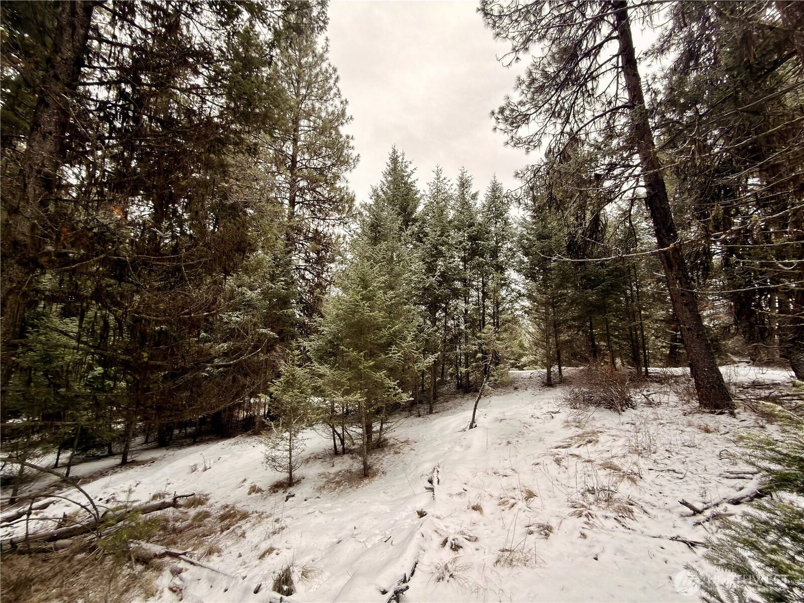 25 Miner's Ridge Road Oroville, WA 98844 - Photo 14 of 22