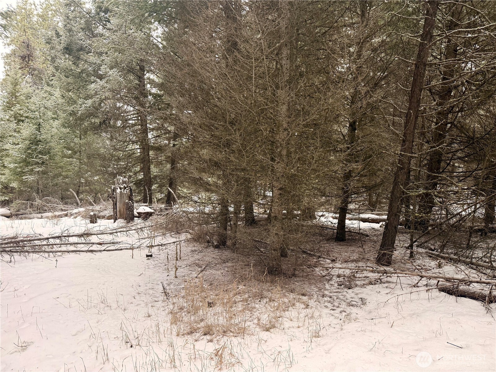 25 Miner's Ridge Road Oroville, WA 98844 - Photo 16 of 22