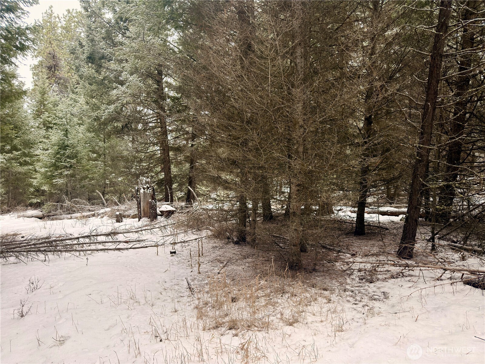 25 Miner's Ridge Road Oroville, WA 98844 - Photo 17 of 22