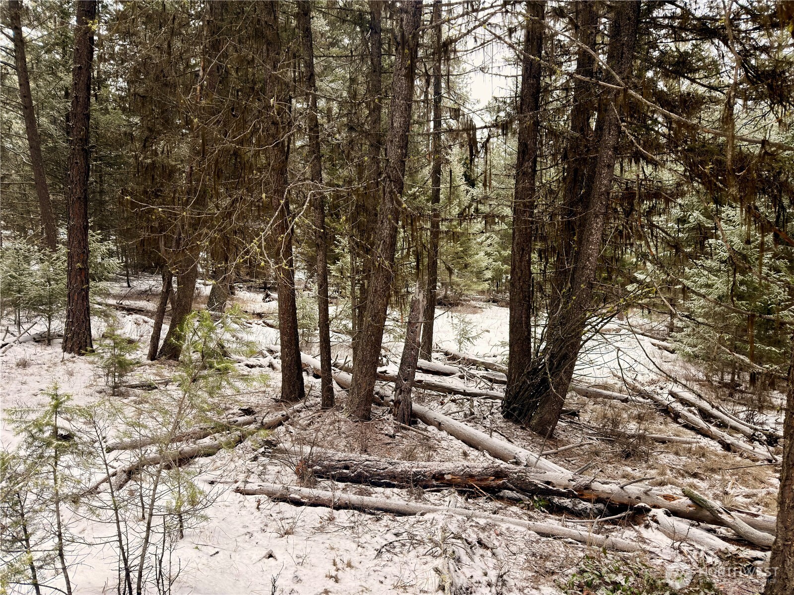 25 Miner's Ridge Road Oroville, WA 98844 - Photo 19 of 22