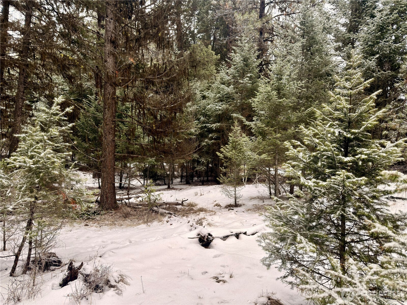 25 Miner's Ridge Road Oroville, WA 98844 - Photo 20 of 22