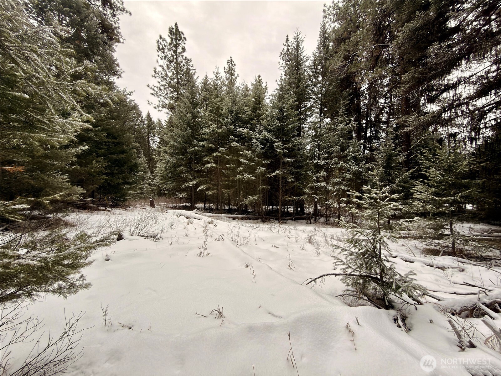 25 Miner's Ridge Road Oroville, WA 98844 - Photo 21 of 22