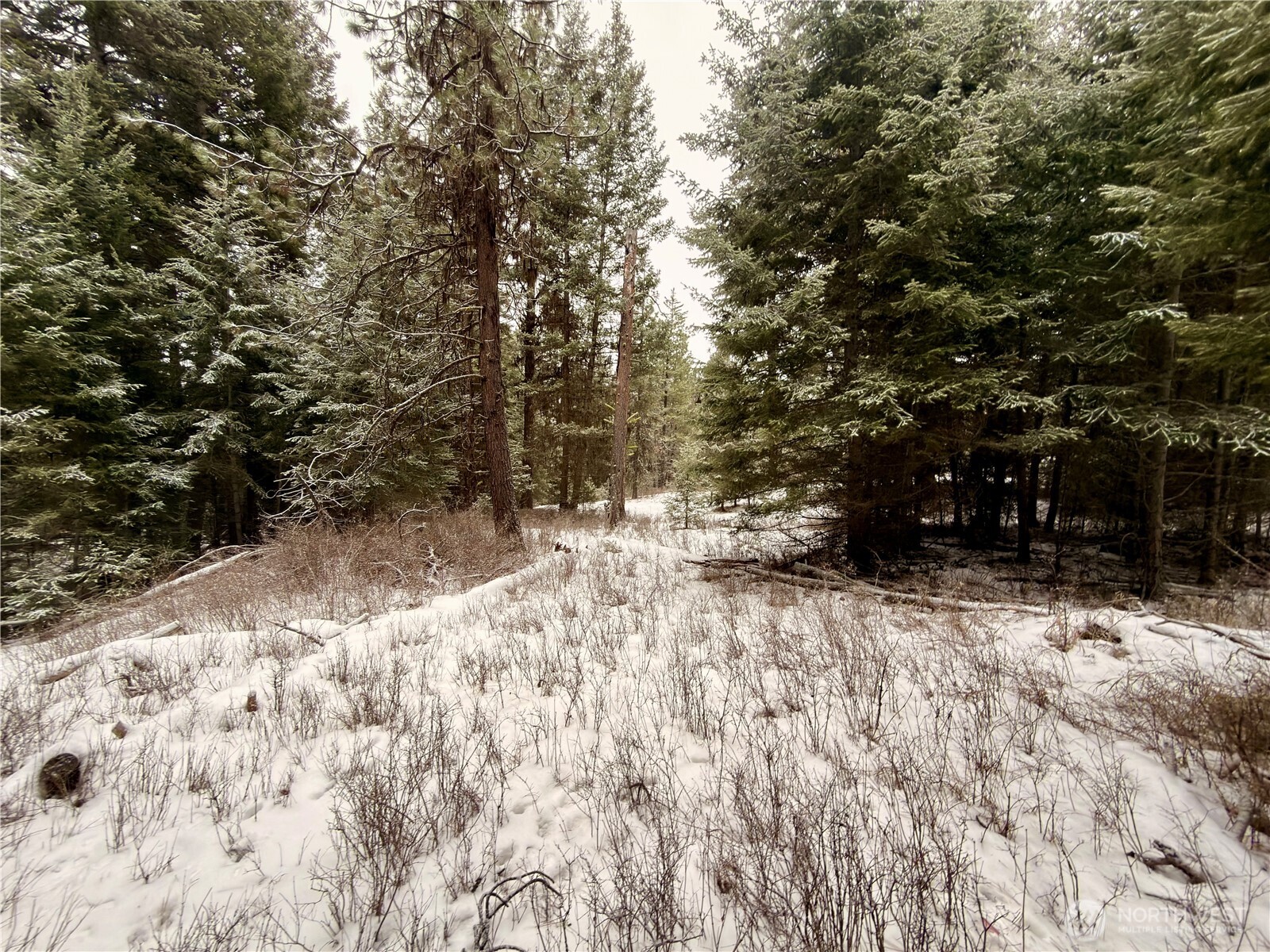 25 Miner's Ridge Road Oroville, WA 98844 - Photo 22 of 22