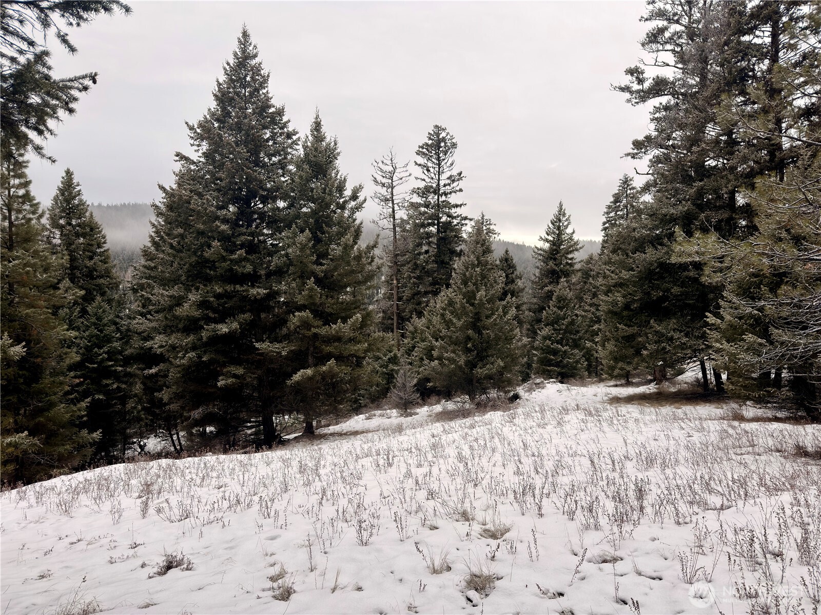 25 Miner's Ridge Road Oroville, WA 98844 - Photo 3 of 22