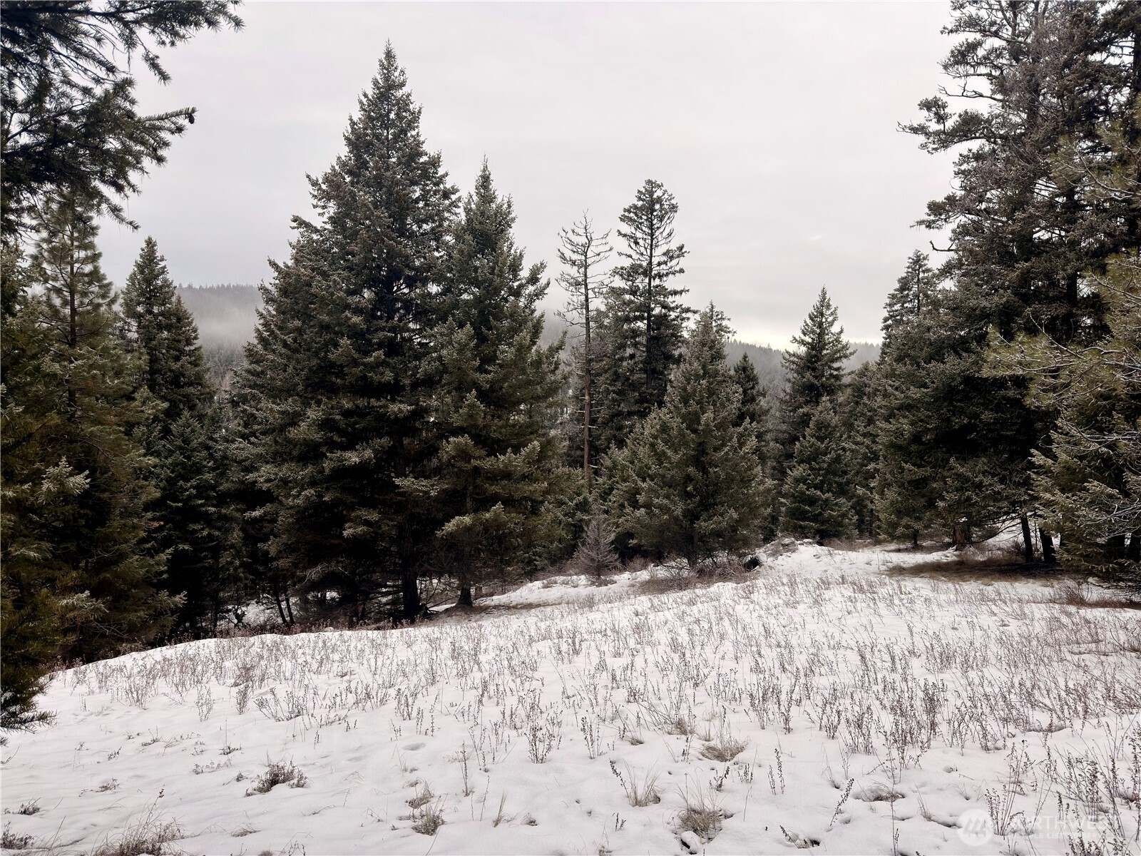 25 Miner's Ridge Road Oroville, WA 98844 - Photo 4 of 22