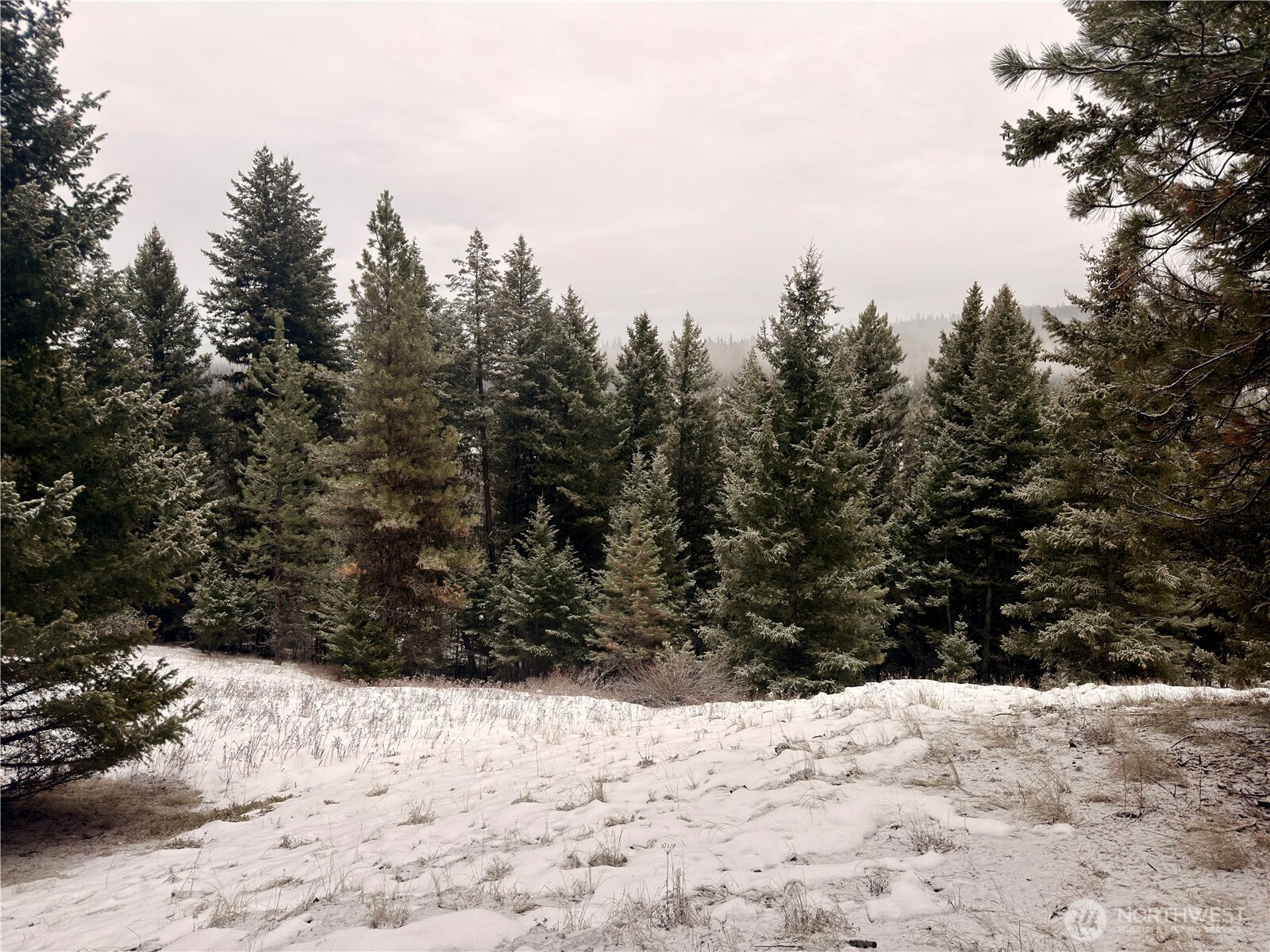 25 Miner's Ridge Road Oroville, WA 98844 - Photo 5 of 22