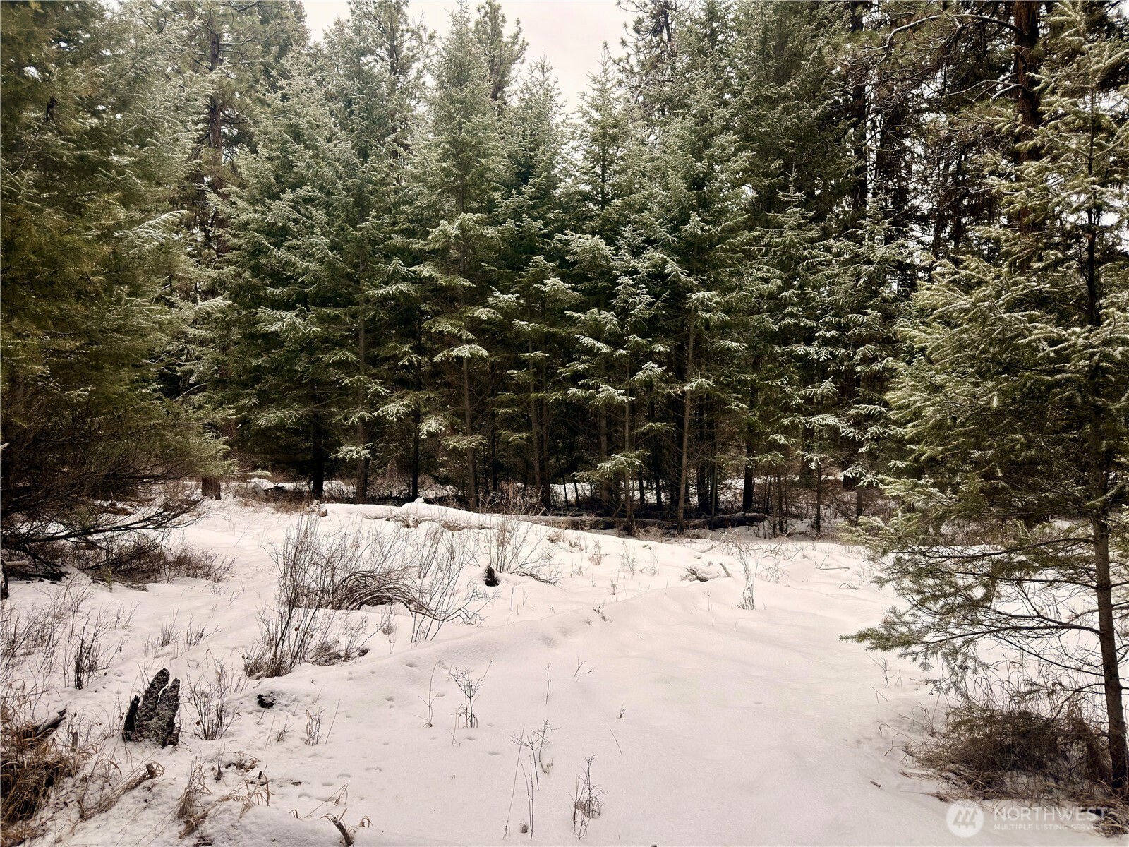 25 Miner's Ridge Road Oroville, WA 98844 - Photo 6 of 22