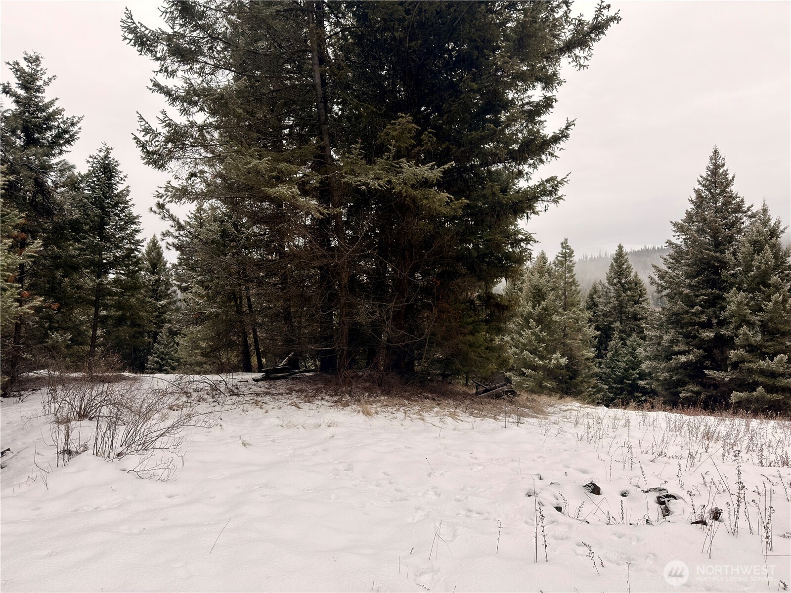 25 Miner's Ridge Road Oroville, WA 98844 - Photo 7 of 22