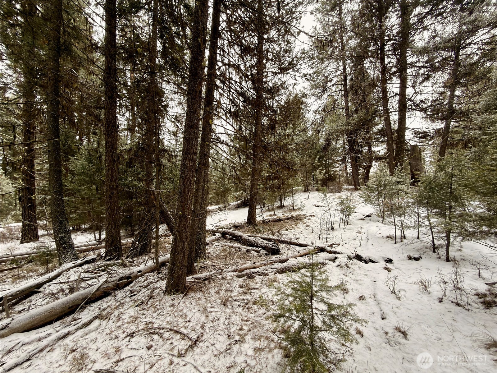 25 Miner's Ridge Road Oroville, WA 98844 - Photo 8 of 22