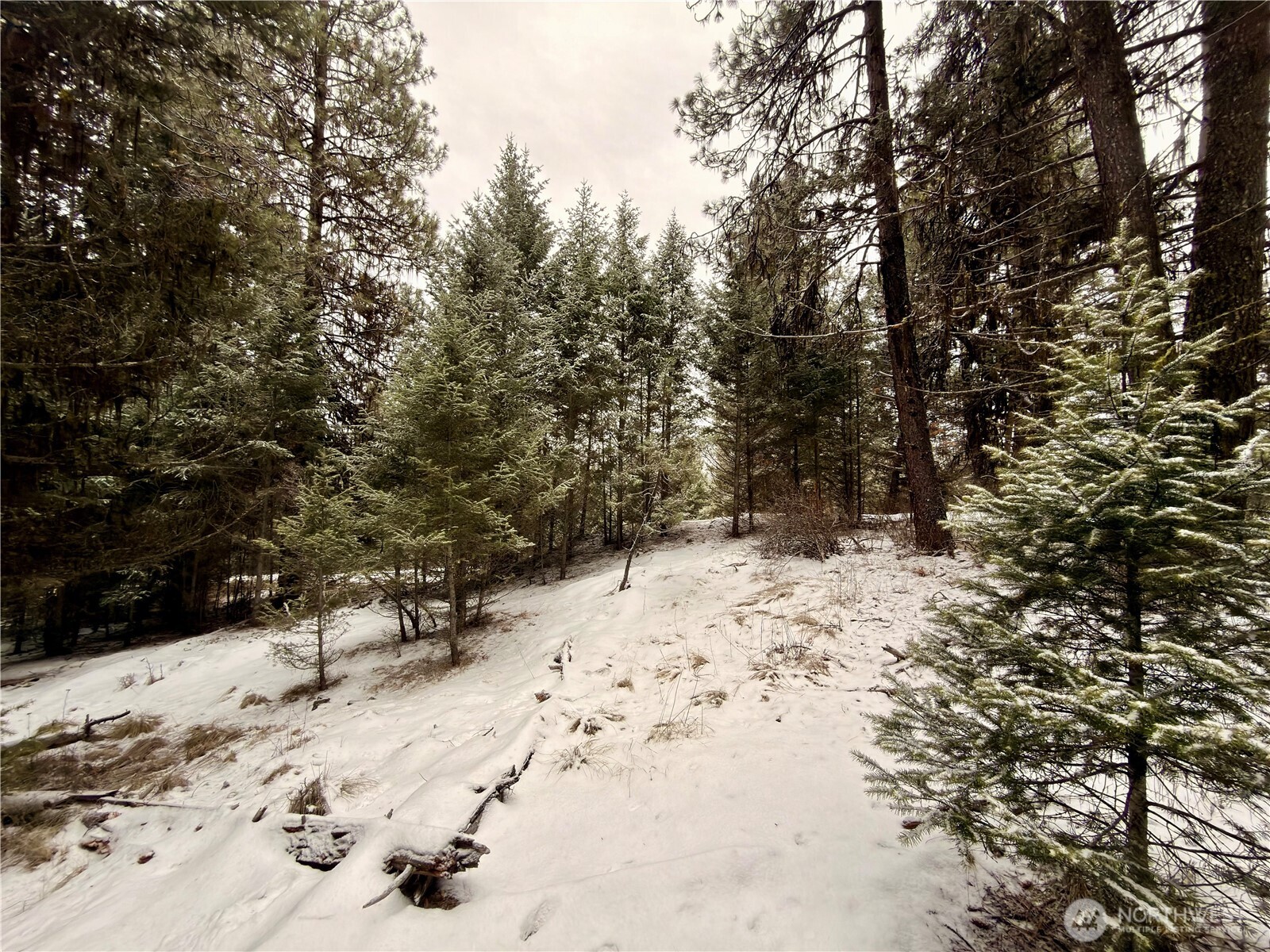 25 Miner's Ridge Road Oroville, WA 98844 - Photo 9 of 22