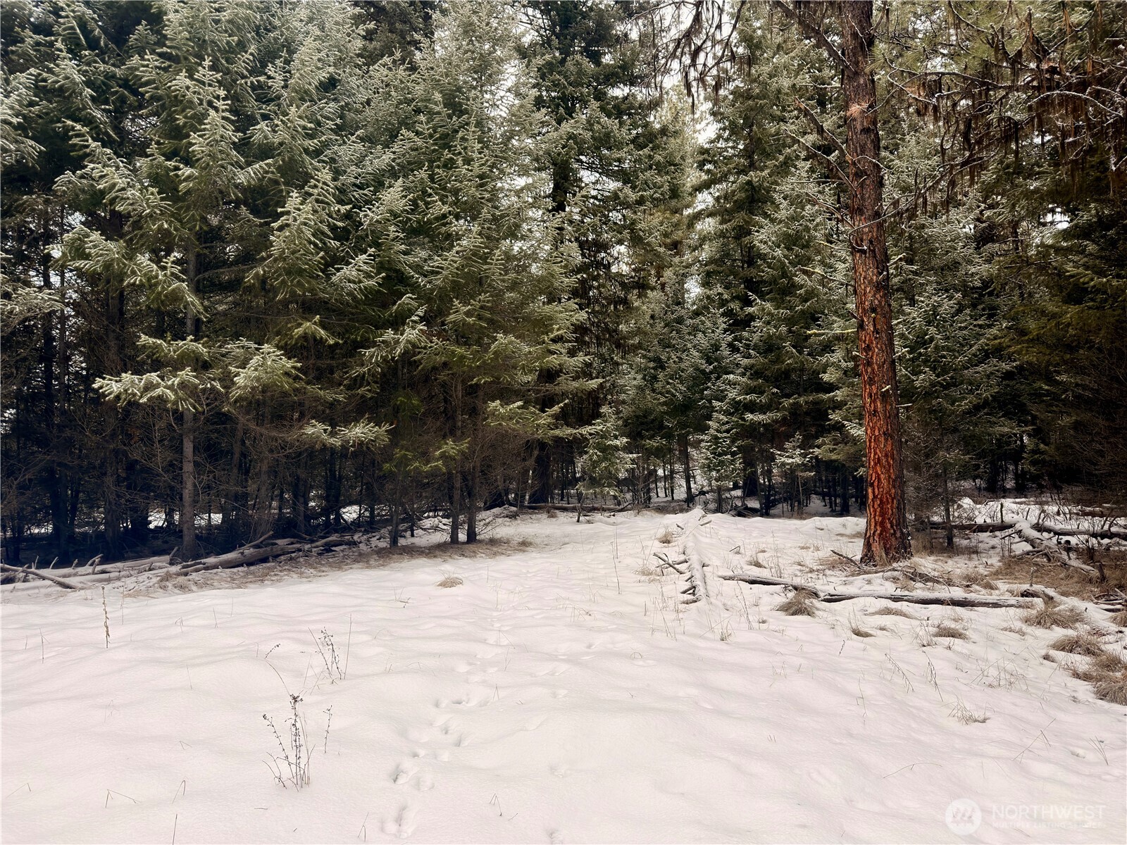 25 Miner's Ridge Road Oroville, WA 98844 - Photo 10 of 22