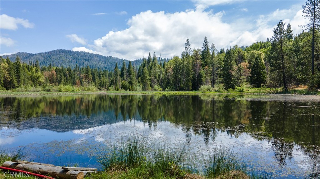 5657 Worman Road Ahwahnee, CA 93601 - Photo 2 of 40