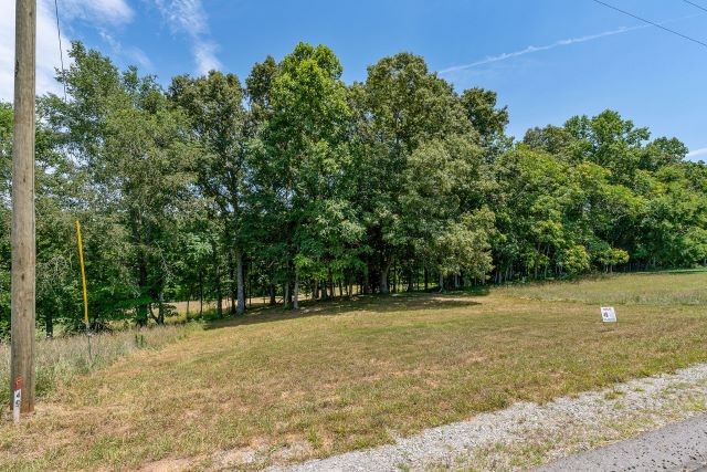 49 Hidden River Road Rock Island, TN 38581 - Photo 4 of 20