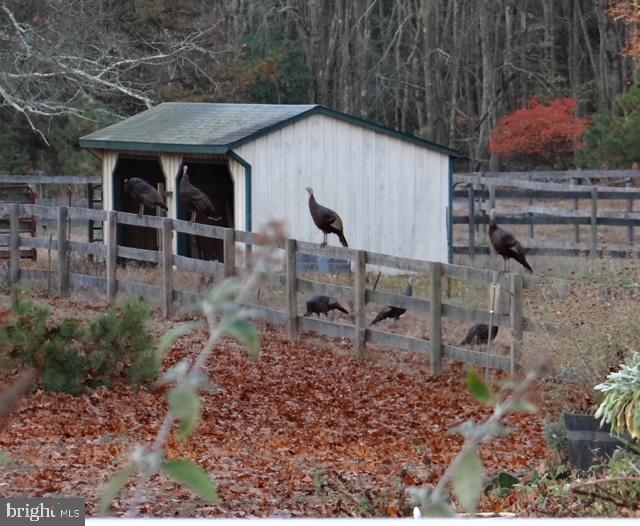 57 Burrs Mill Road Southampton, NJ 08088 - Photo 11 of 30 Running Shed