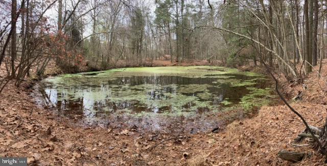 57 Burrs Mill Road Southampton, NJ 08088 - Photo 17 of 30 pond on property