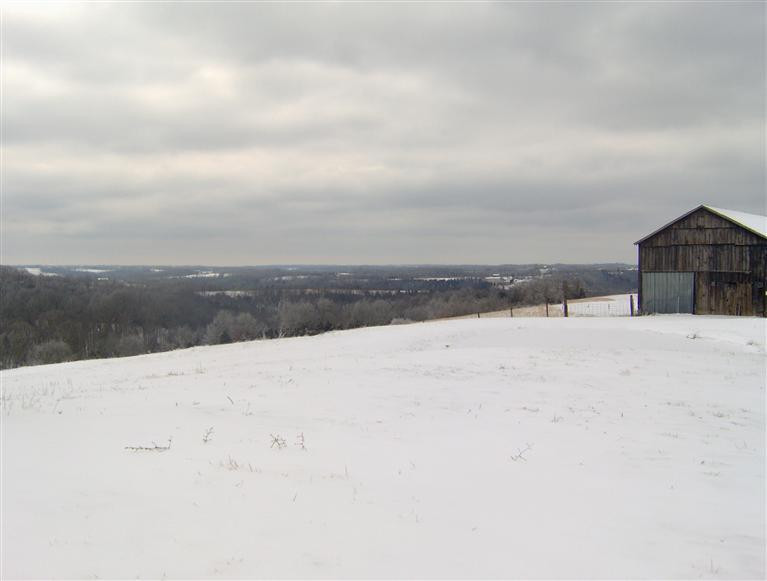 3416 Parina Road Brooksville, KY 41004 - Photo 13 of 20 Gallery Image 13