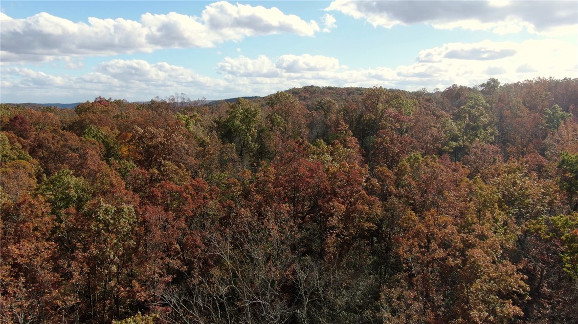 11 Pickens Sc 29671 Pickens, SC 29671 - Photo 11 of 23